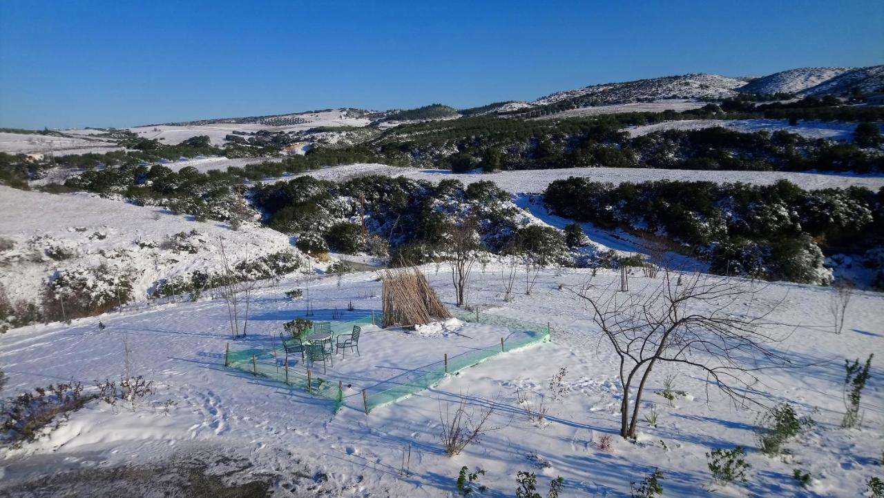 Daniil'S Luxury Villa And Spa Agios Antonios  المظهر الخارجي الصورة